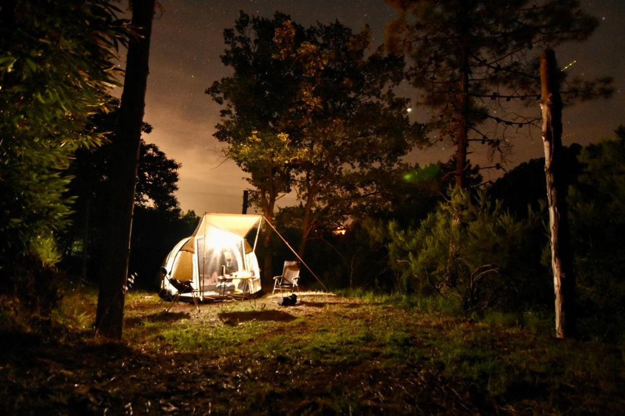 Agriturismo Ca Du Chittu Carro Eksteriør bilde