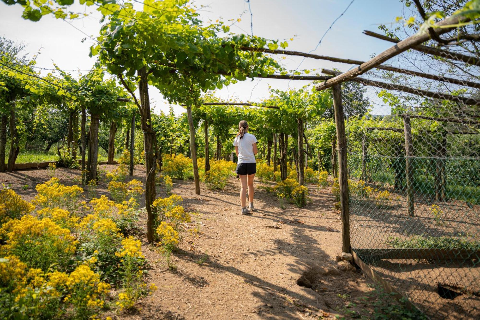 Agriturismo Ca Du Chittu Carro Eksteriør bilde