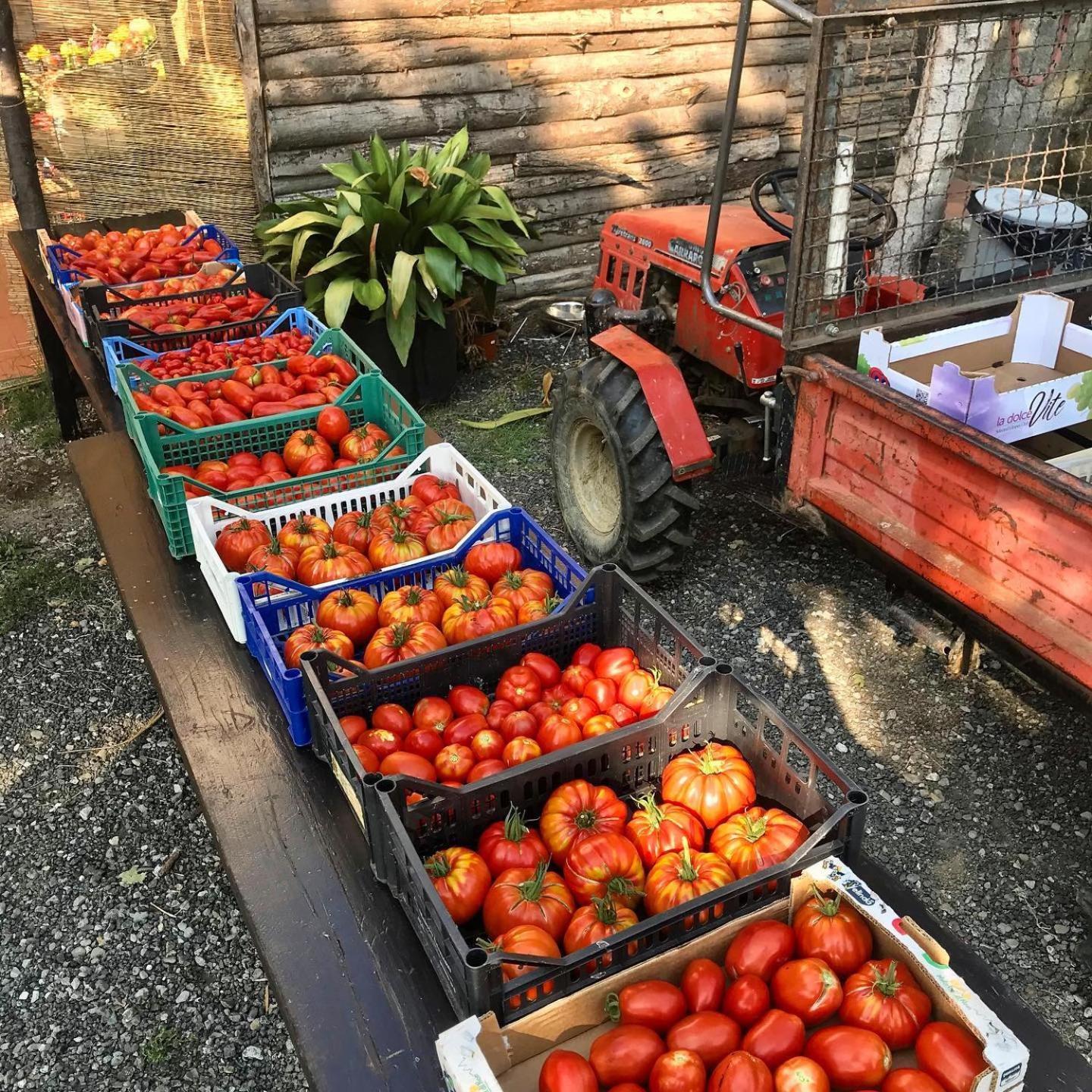 Agriturismo Ca Du Chittu Carro Eksteriør bilde