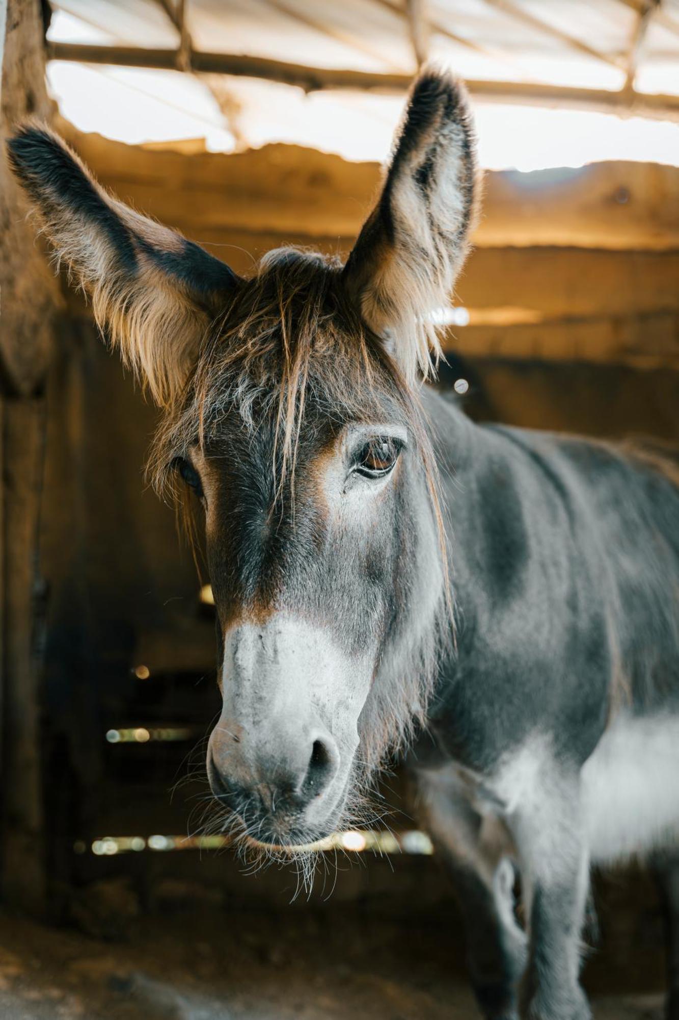 Agriturismo Ca Du Chittu Carro Eksteriør bilde